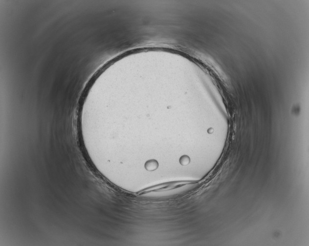 X0000116761268201001141422