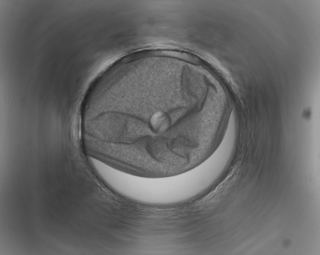 X0000116761269201001141422