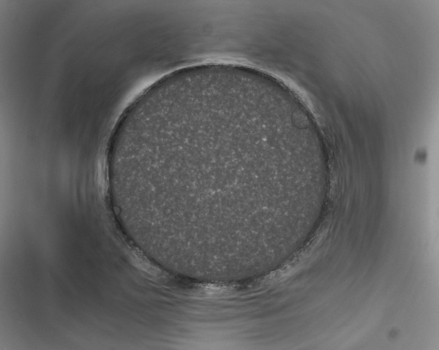 X0000116761271201001141422