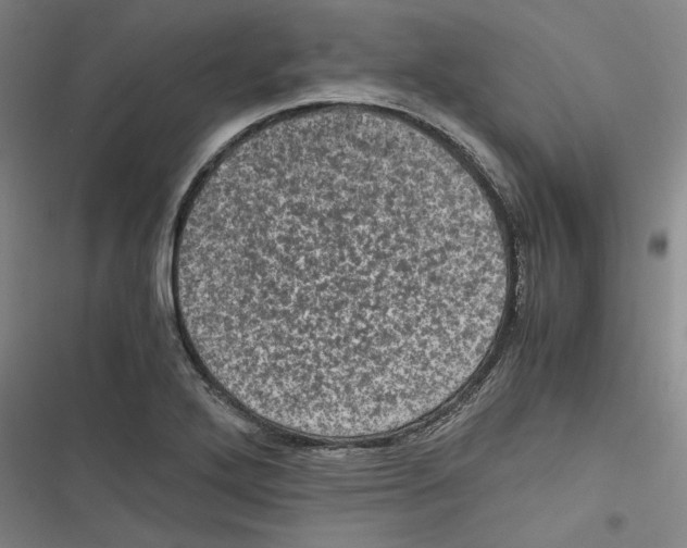 X0000116761272201001141422