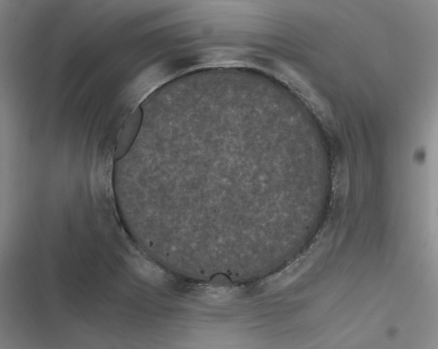 X0000116761273201001141422