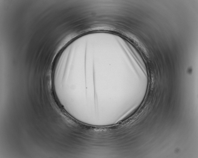 X0000116761274201001141422