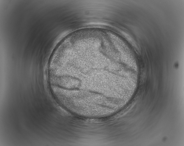 X0000116761275201001141422