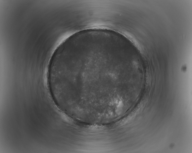 X0000116761277201001141422