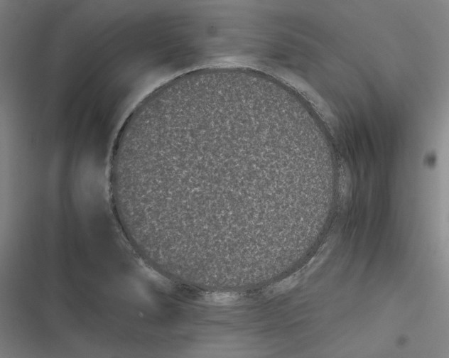 X0000116761278201001141422