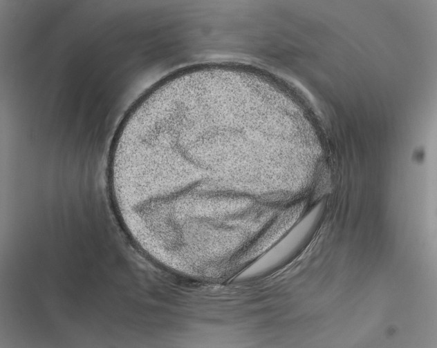 X0000116761279201001141422