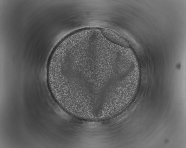 X0000116761280201001141422