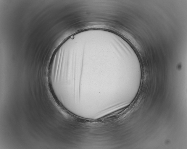 X0000116761282201001141422