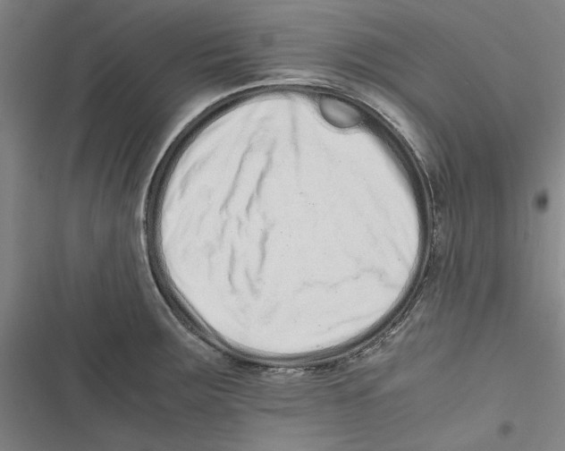 X0000116761283201001141422