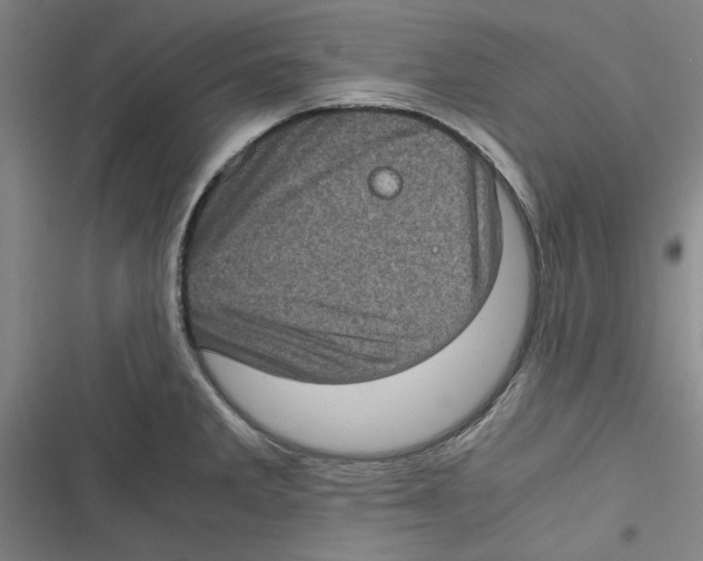 X0000116761285201001141422