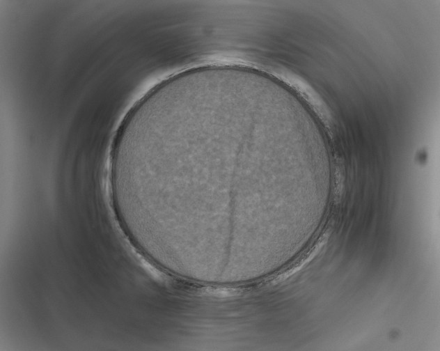 X0000116761286201001141422