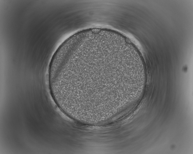 X0000116761287201001141422