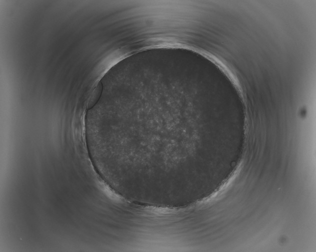 X0000116761289201001141422