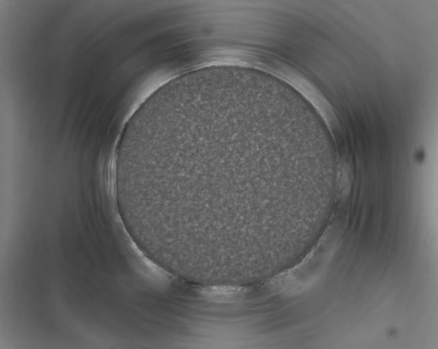 X0000116761290201001141422