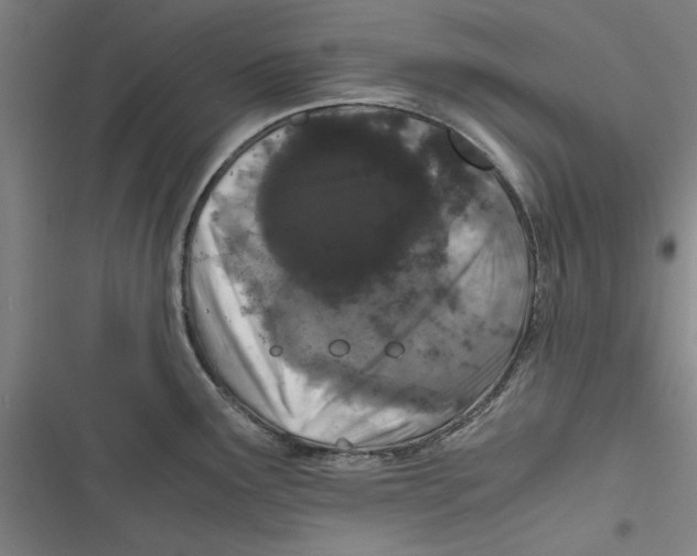 X0000116761291201001141422