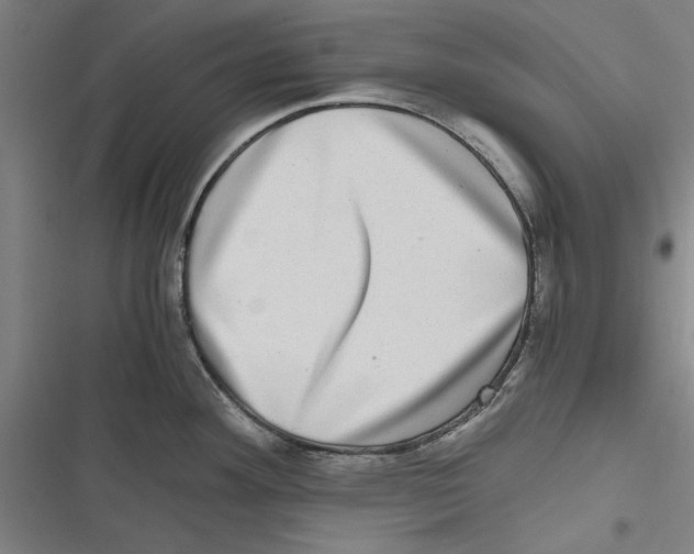 X0000116761292201001141422