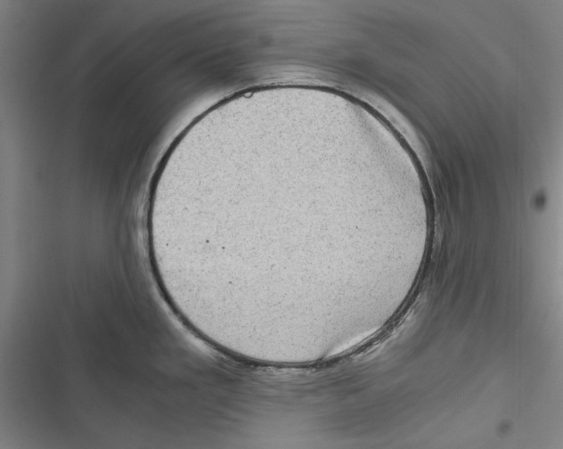 X0000116761293201001141421