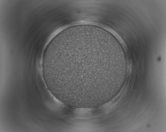 X0000116761294201001141421