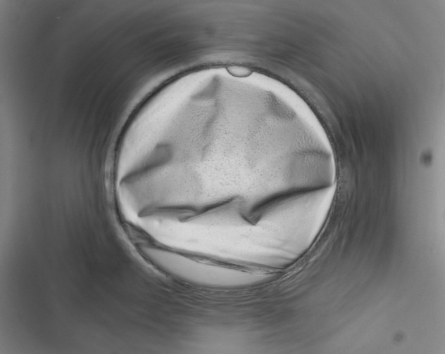 X0000116761295201001141421