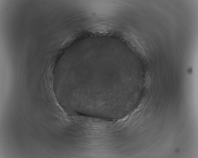 X0000116761297201001141421