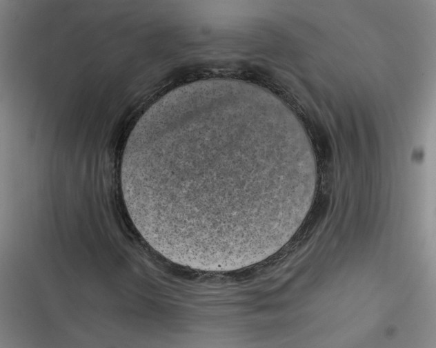 X0000116761298201001141421