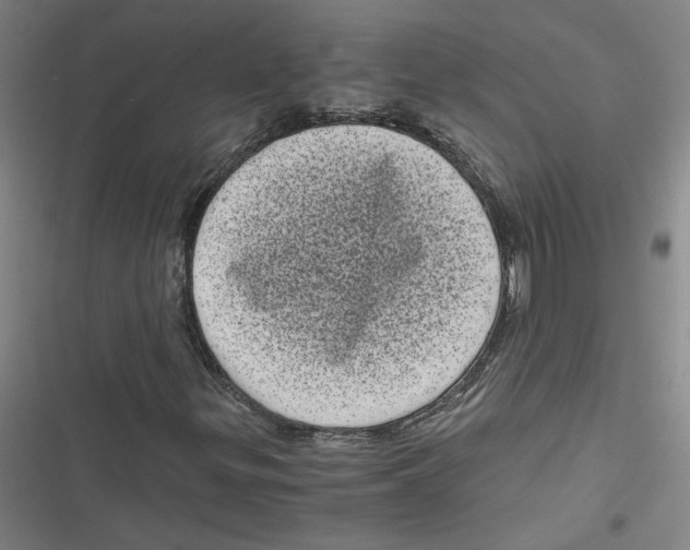 X0000116761299201001141421