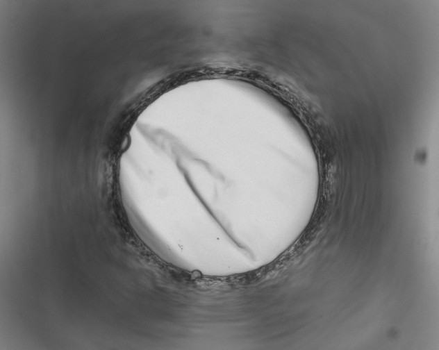 X0000116761302201001141421