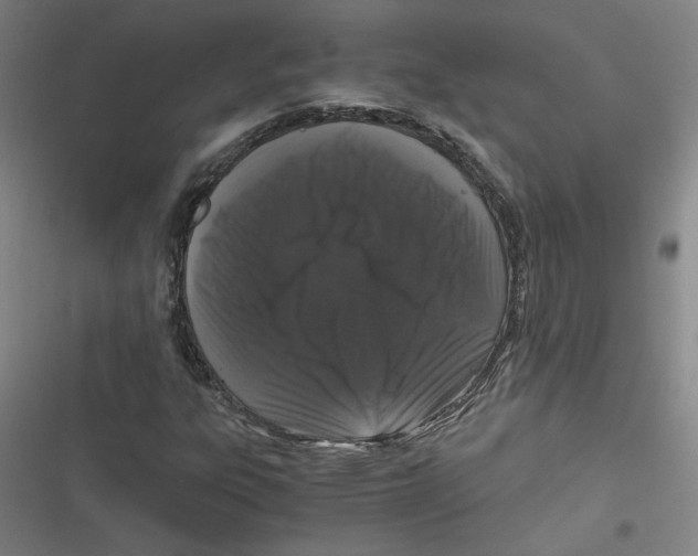 X0000116761303201001141421