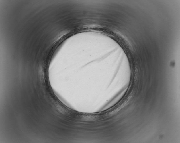 X0000116761305201001141421