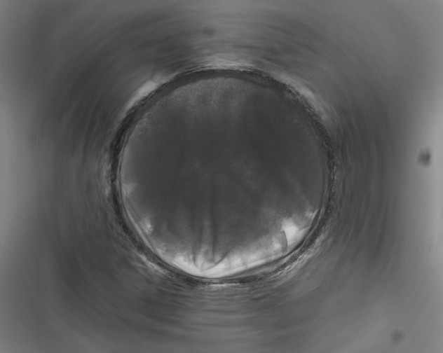 X0000116761306201001141421