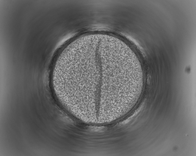 X0000116761309201001141421