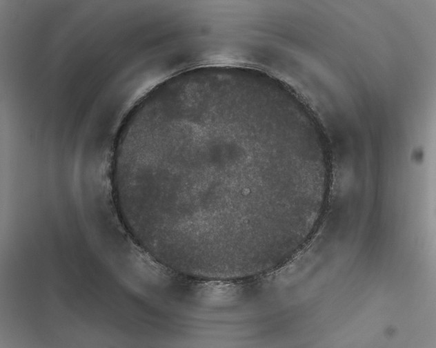 X0000116761314201001141421