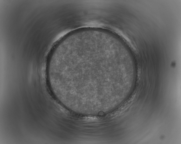 X0000116761315201001141421