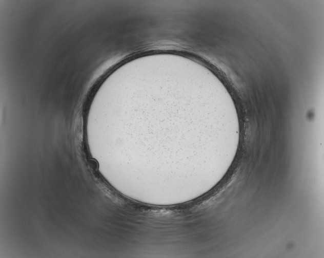 X0000116761317201001141421