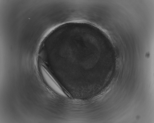 X0000116761319201001141421