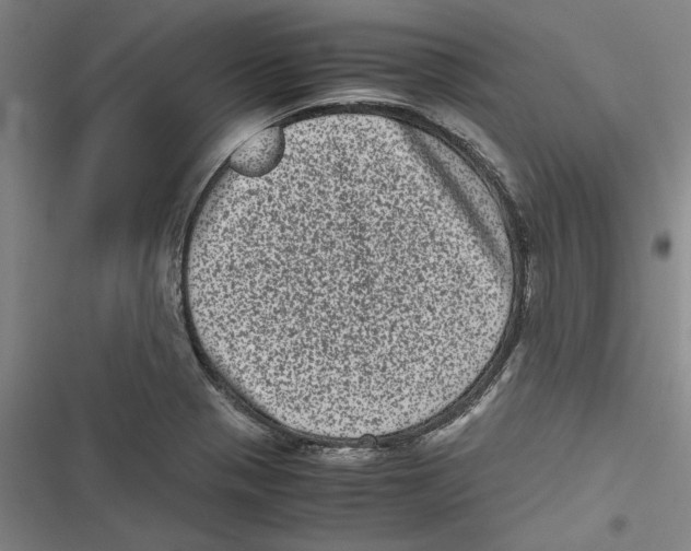 X0000116761321201001141421