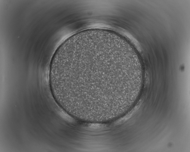 X0000116761322201001141421