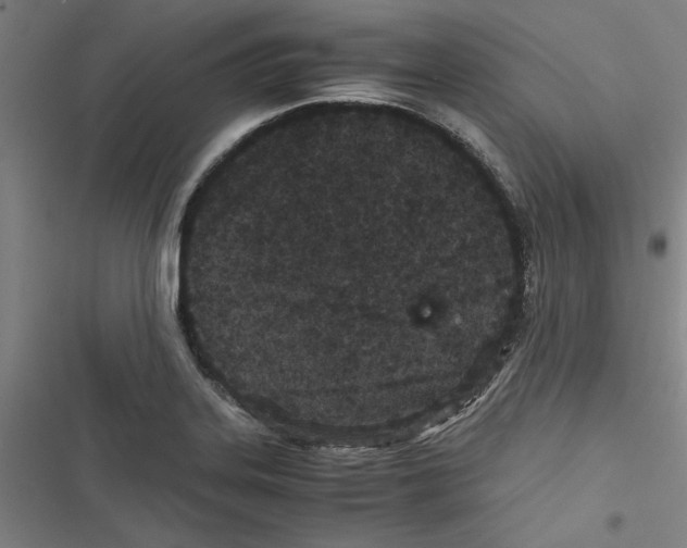 X0000116761323201001141421