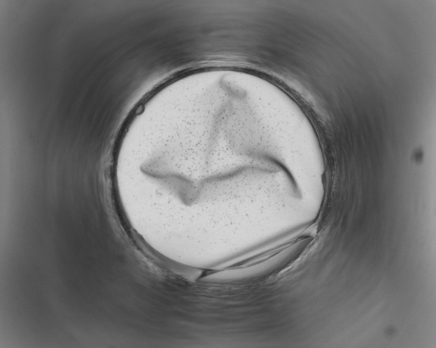 X0000116761325201001141421