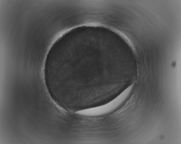 X0000116761327201001141421