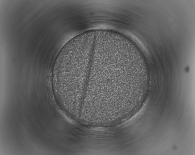 X0000116761329201001141421