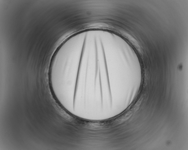 X0000116761330201001141421