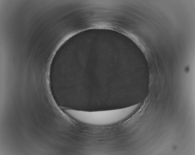 X0000116761331201001141421