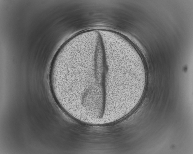 X0000116761333201001141421