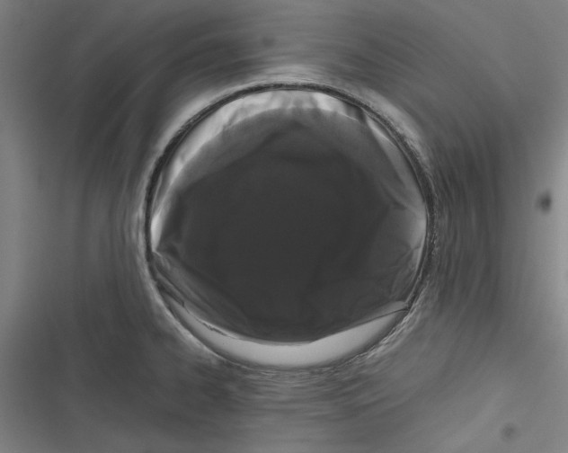 X0000116761334201001141421