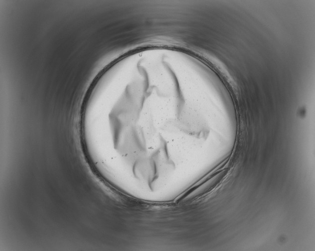 X0000116761335201001141421