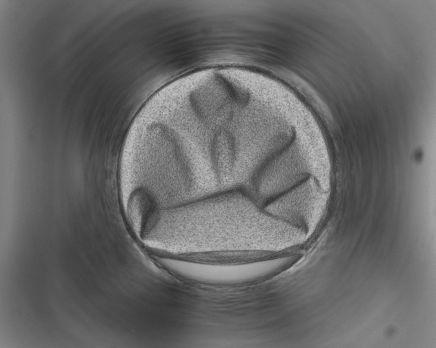 X0000116761337201001141421