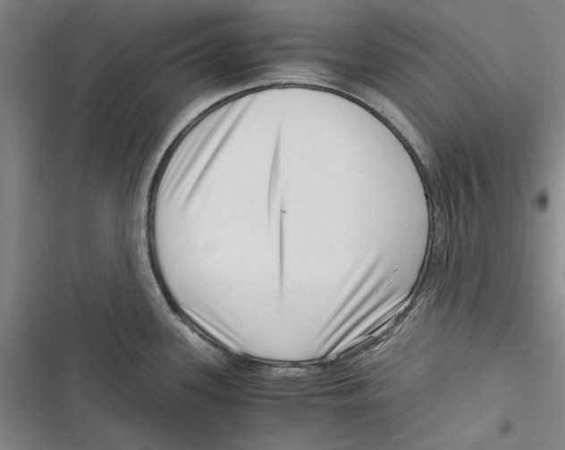 X0000116761339201001141421