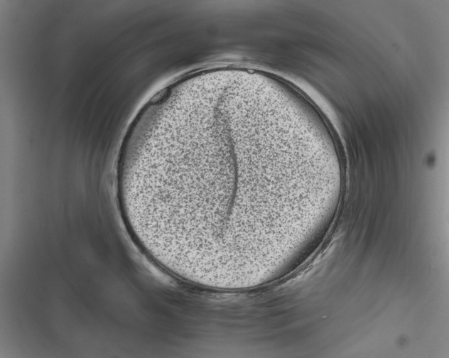 X0000116761341201001141421