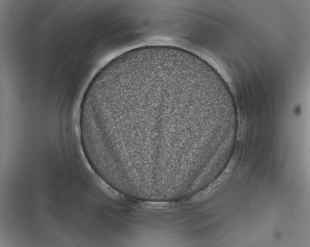 X0000116761342201001141421